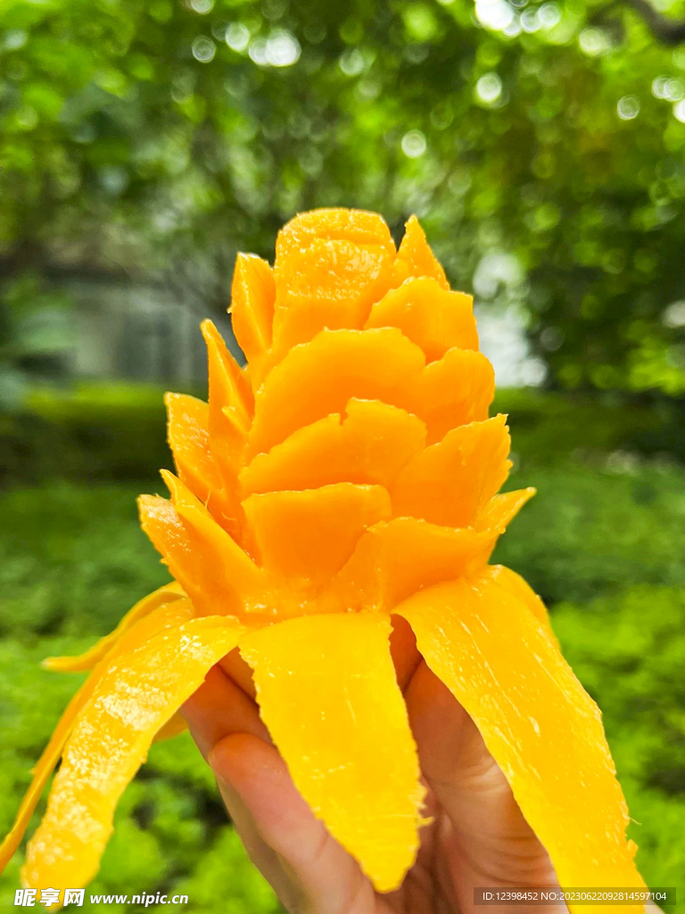 芒果