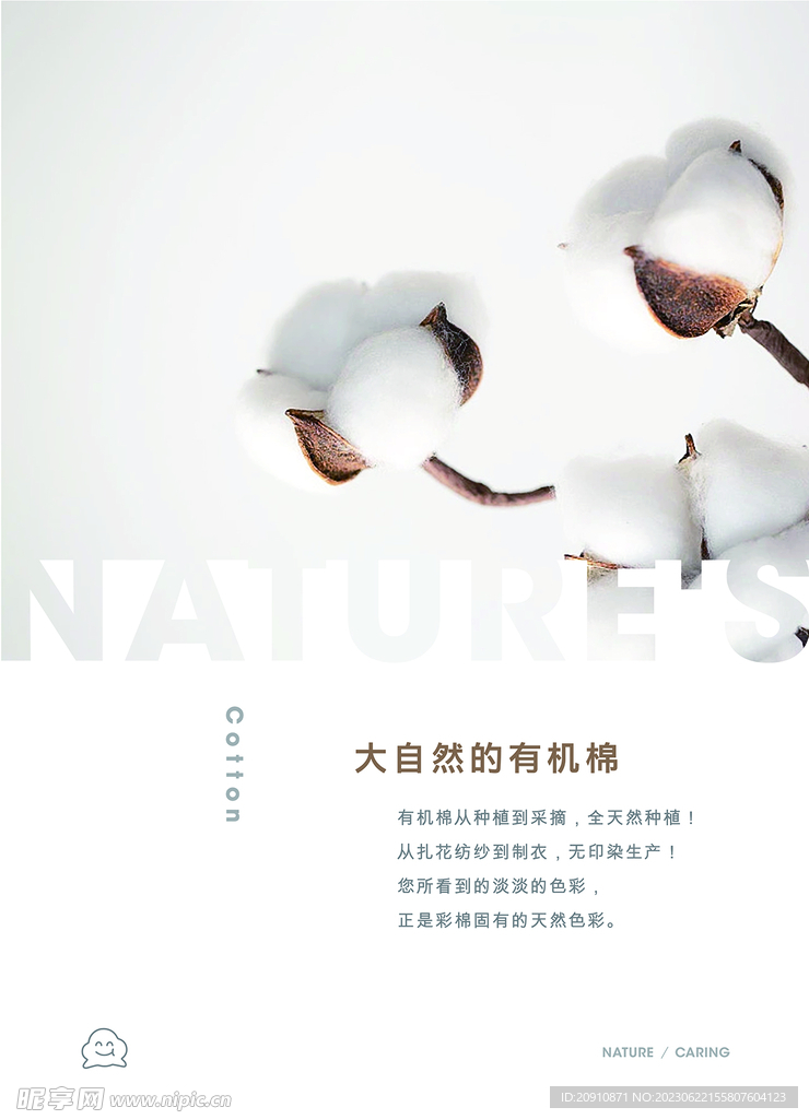 棉花