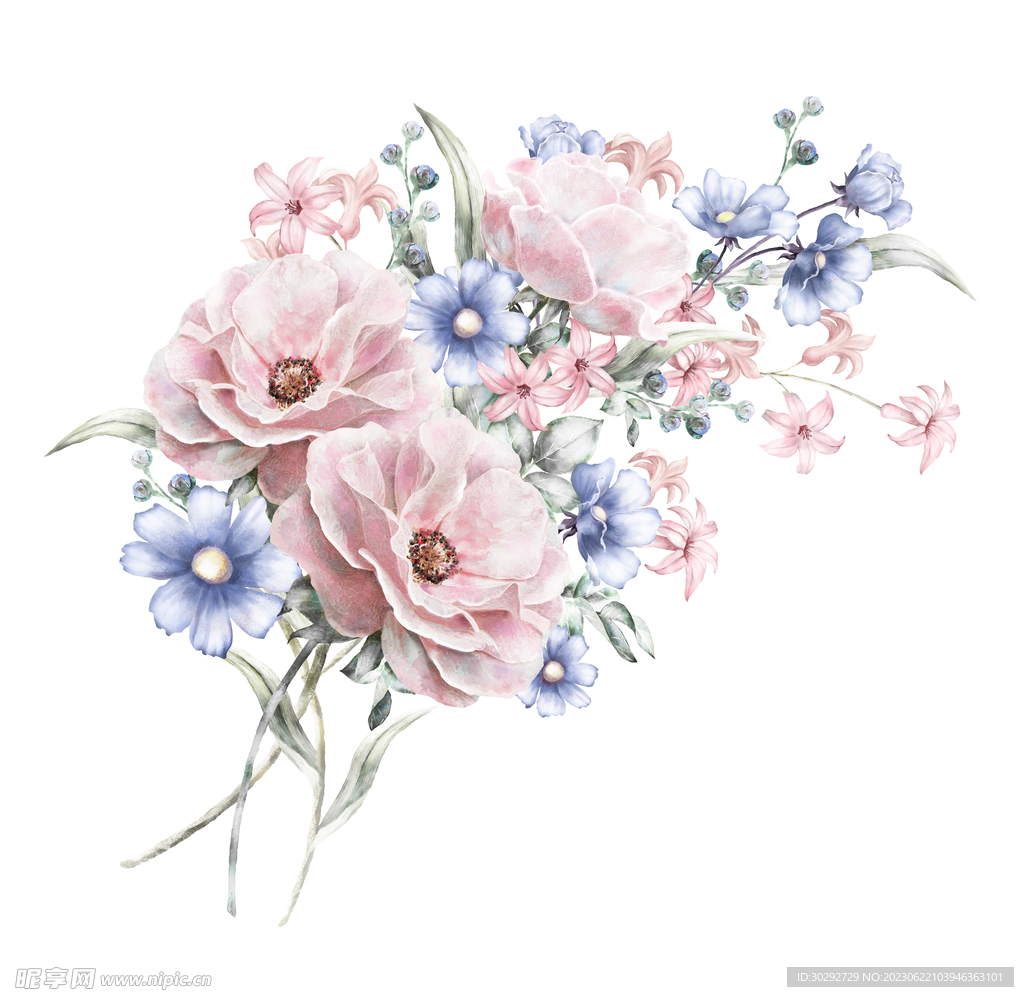 花朵   花卉   粉色大花 