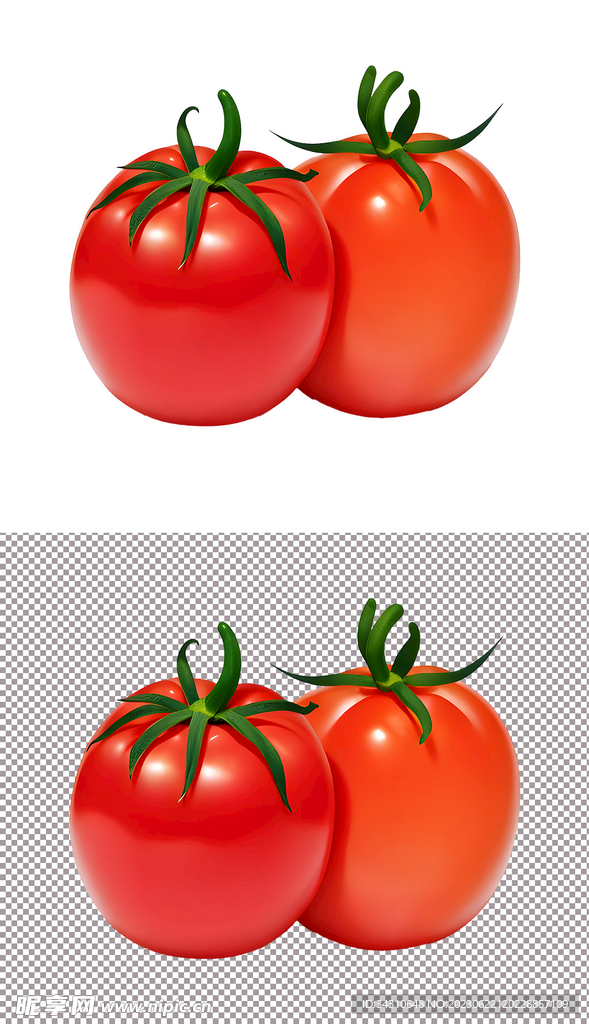 红柿番茄圣女果水果蔬菜