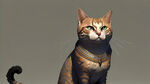 全身猫咪
