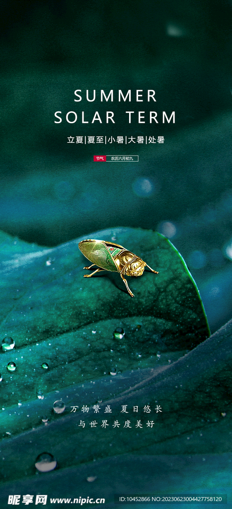 小暑