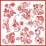 花纹