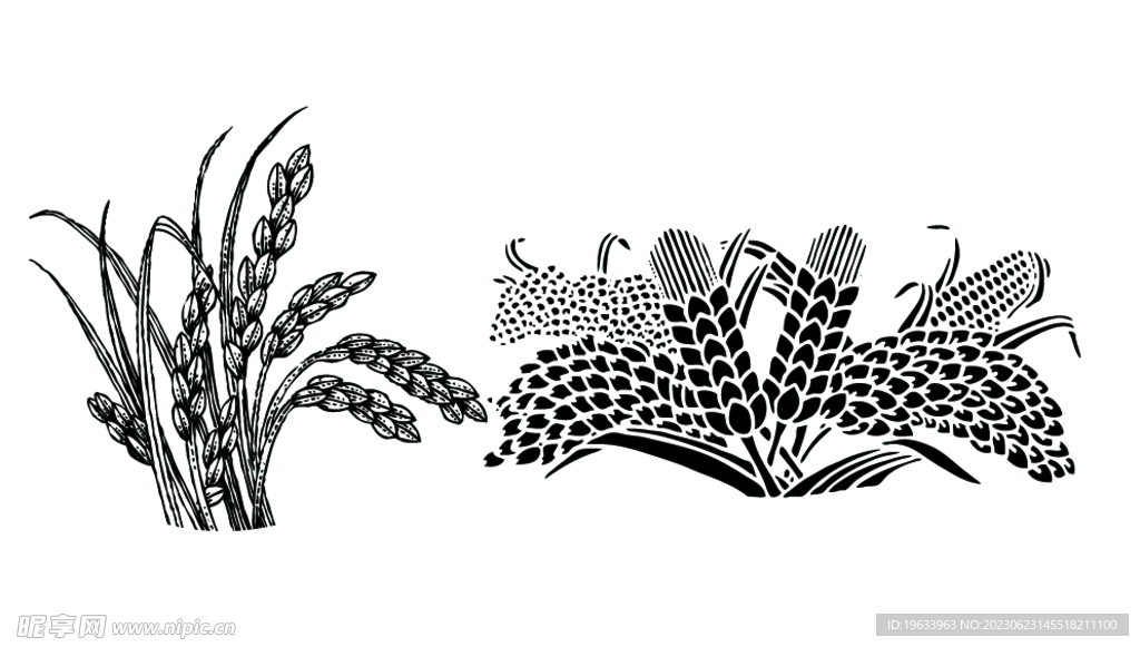 麦穗失量