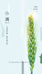 小满