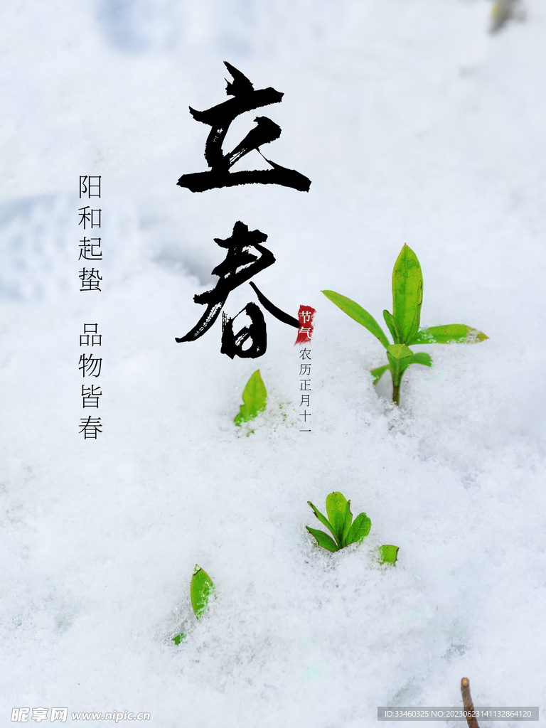立春