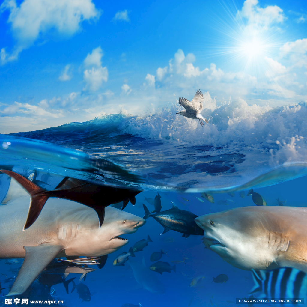 海浪风景