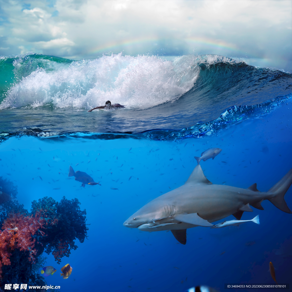 海浪风景