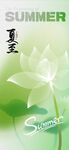 夏至节气