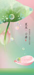 小暑节气