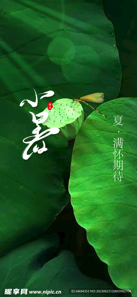 小暑节气