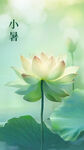 小暑节气