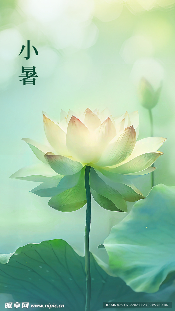小暑节气
