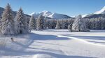 冰天雪树