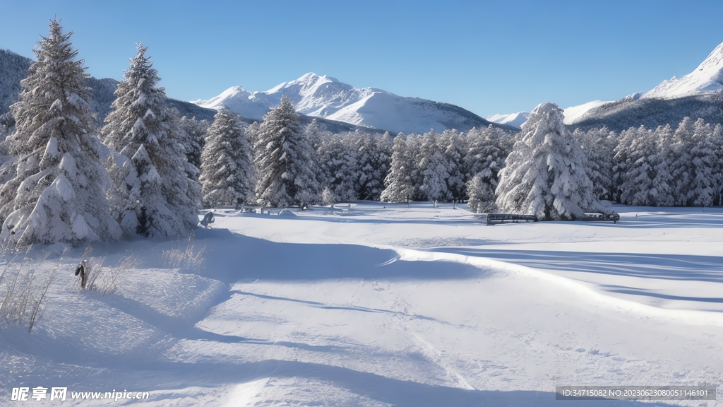 冰天雪树