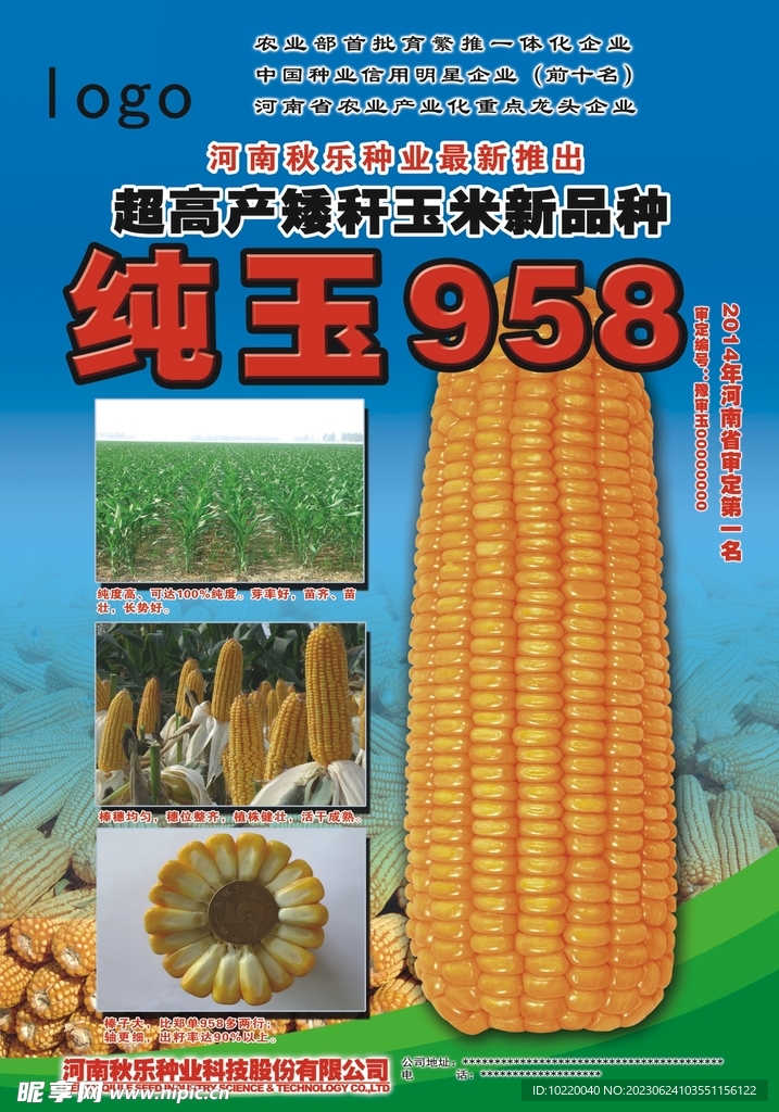 玉米