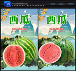 西瓜