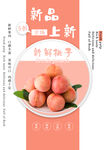 桃子水果海报