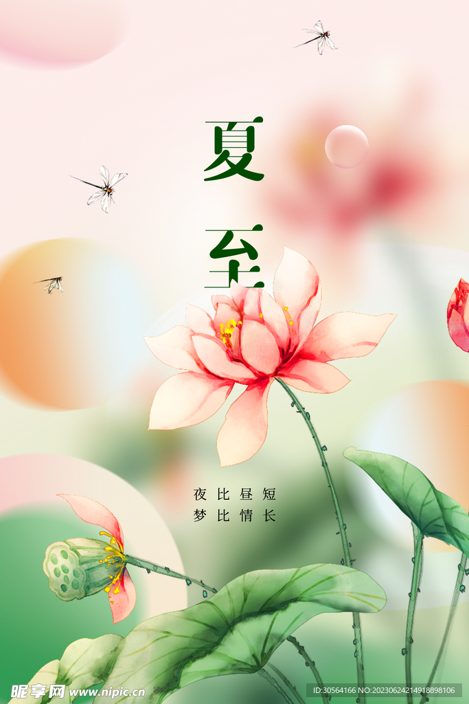 夏至