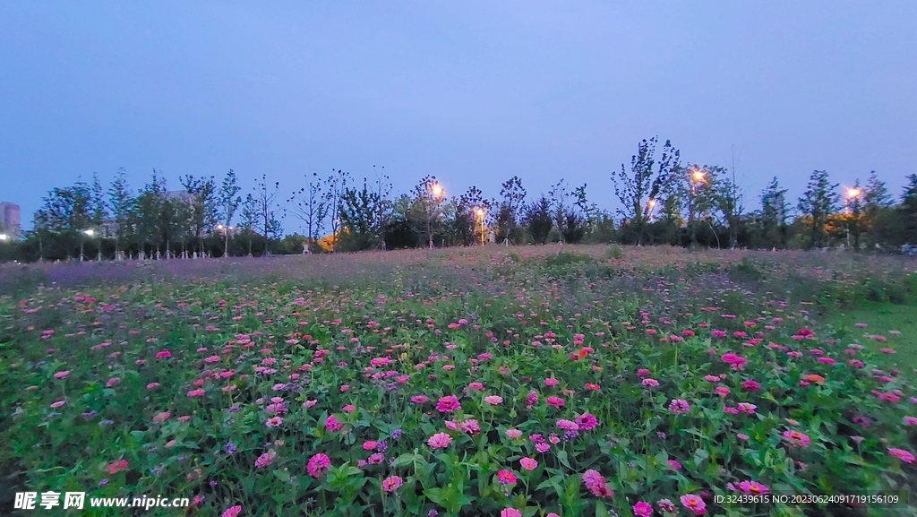 花海