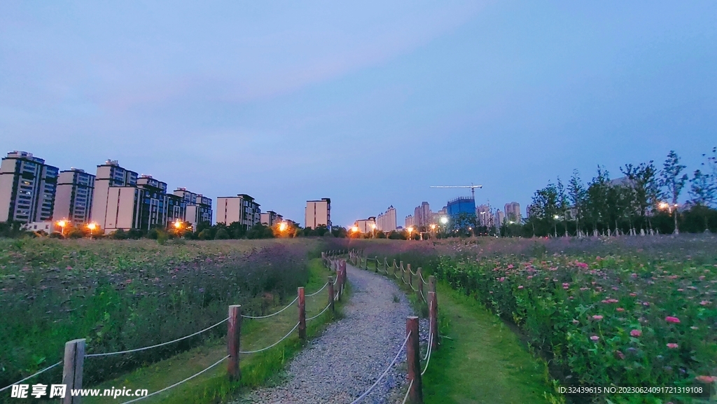 花海小路