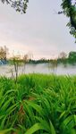 山南E水系水雾