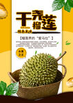 榴莲海报