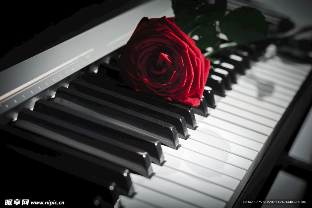 红玫瑰与钢琴