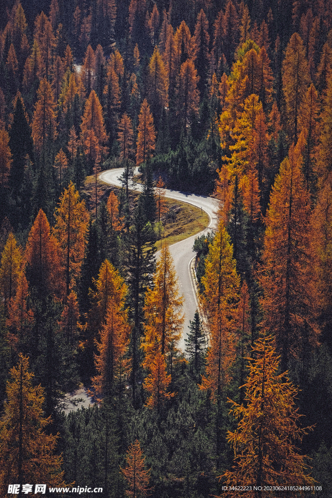 森林公路