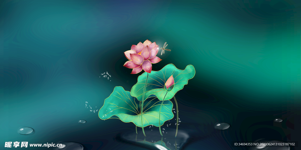 夏日荷花