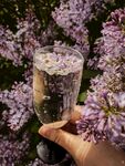 鲜花泡水