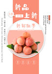 桃子素材