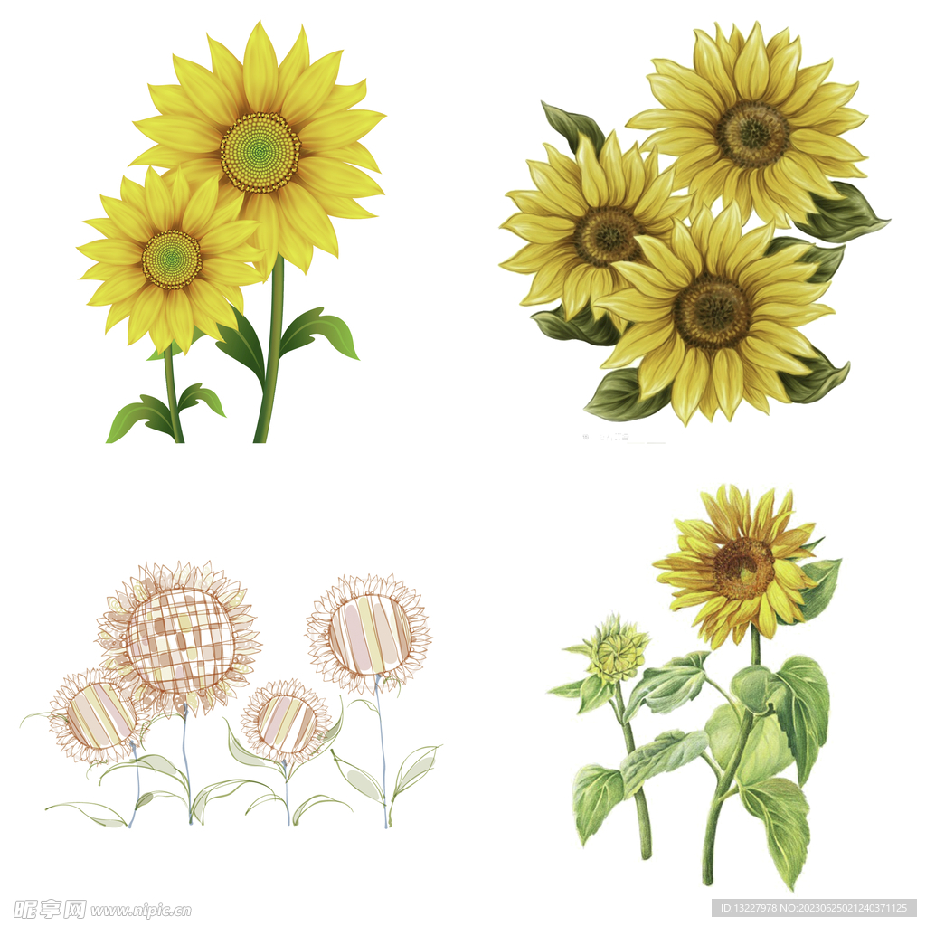 Sunflower Cartoon Material Download PNG Transparent Image And Clipart ...