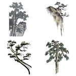 中国风水墨松树松枝迎客松水墨画
