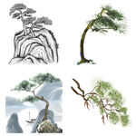 中国风水墨松树松枝迎客松水墨画
