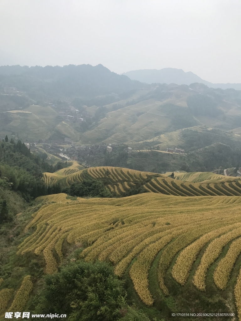 龙脊梯田