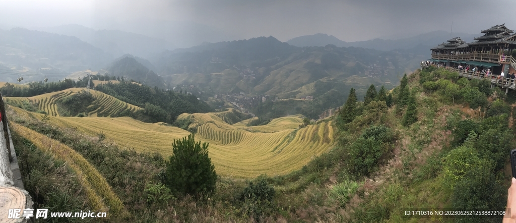龙脊梯田
