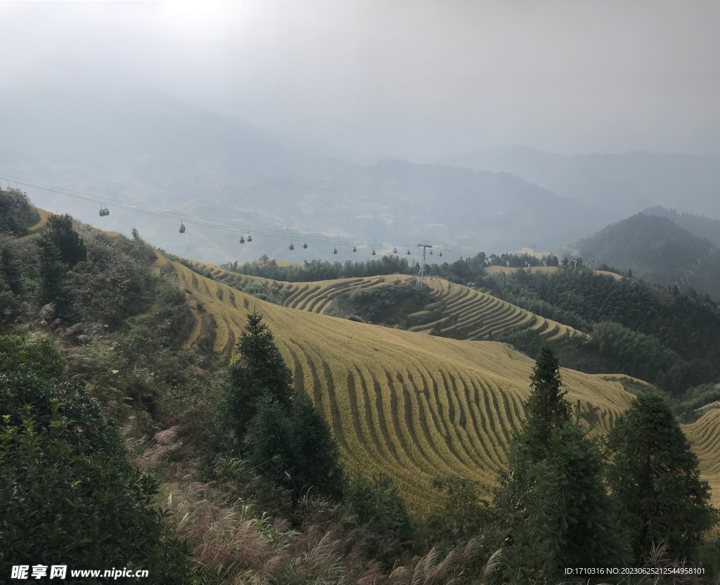 龙脊梯田