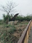 路边风景照片