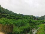 山边小屋