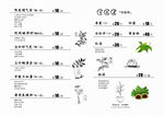 茶饮