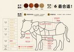 牛排 分解图