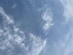 仰望天空