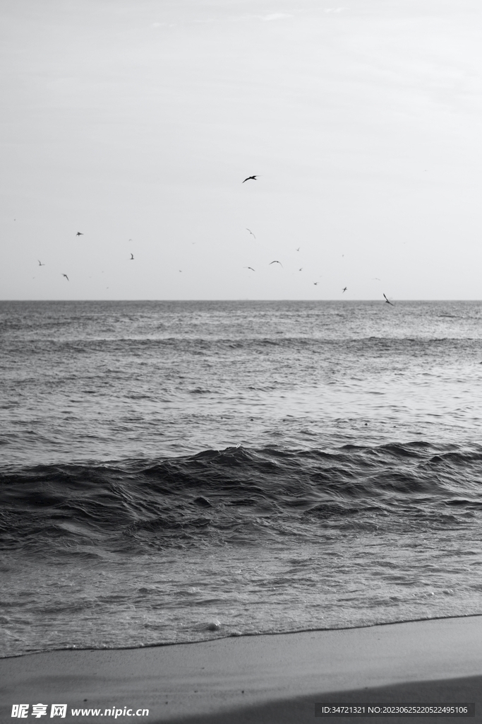 海燕与海浪
