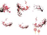 梅花