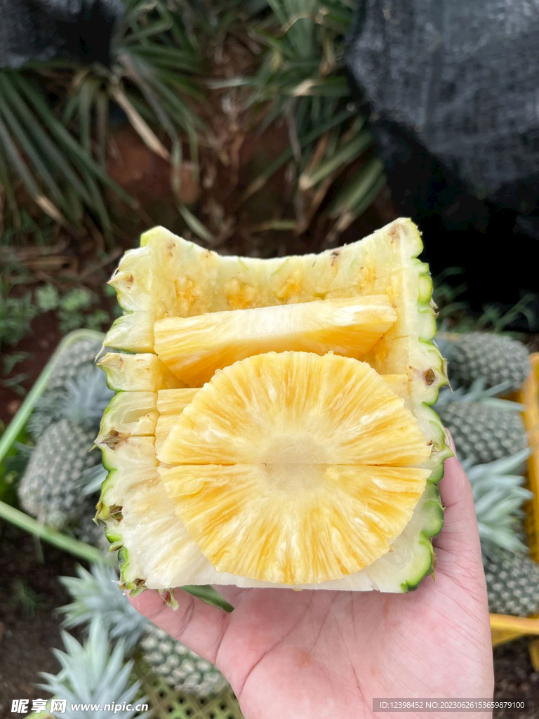 凤梨