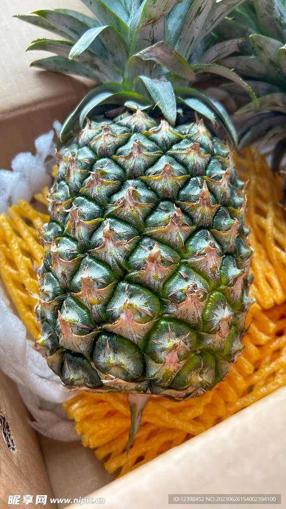 菠萝