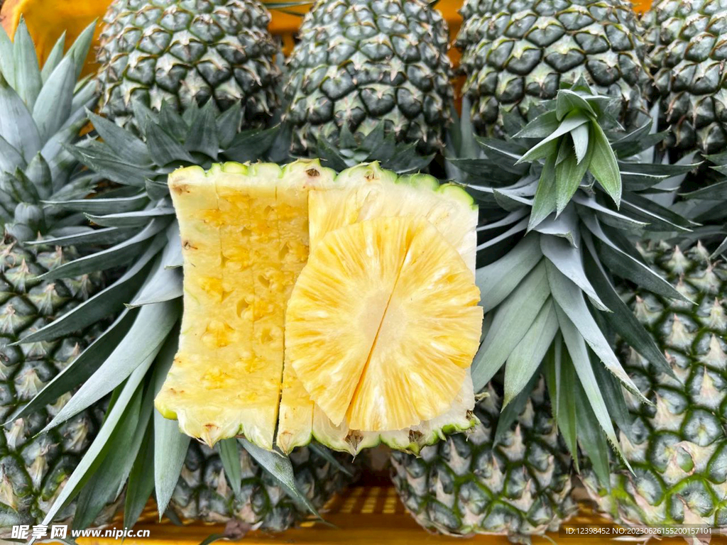 凤梨
