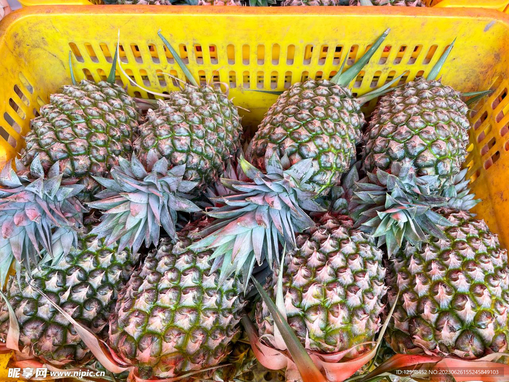 菠萝