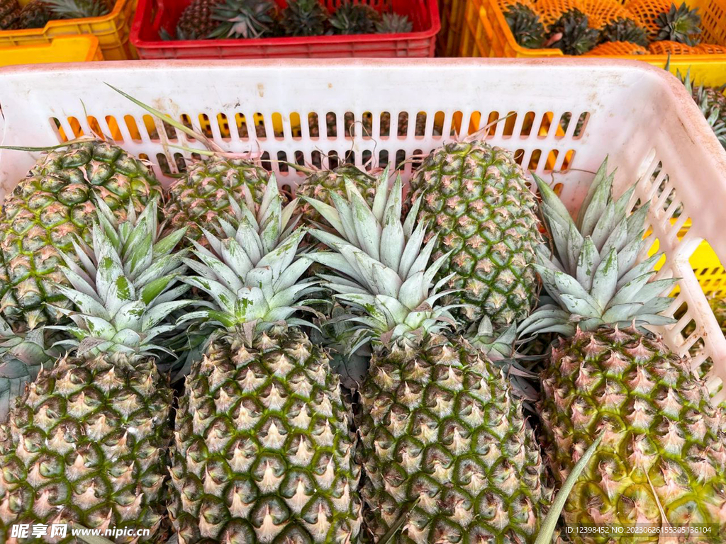 菠萝